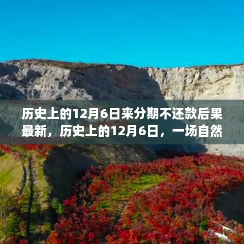 建议，历史上的12月6日心灵启示之旅，不还款后果与追寻内心宁静