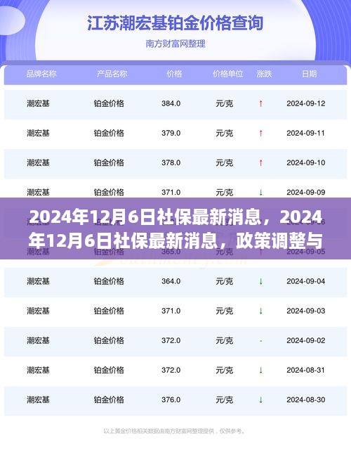 2024年社保政策调整最新消息及未来展望