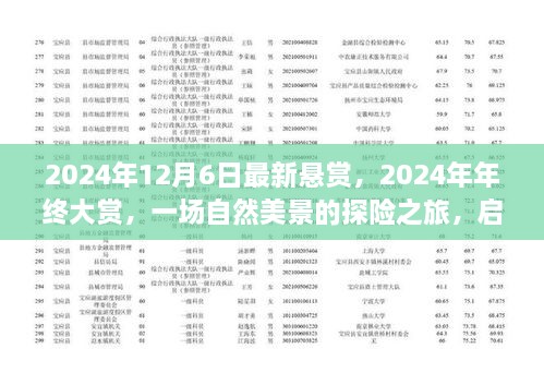 启程寻找内心的宁静与平和，2024年年终大赏自然美景探险之旅