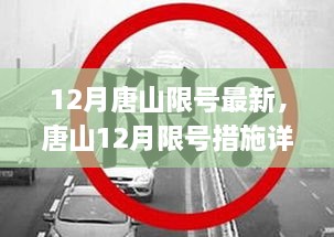 唐山12月限号措施详解及应对指南