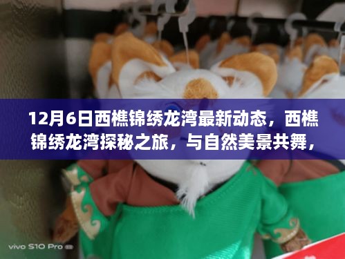 西樵锦绣龙湾探秘之旅，与自然共舞，探寻内心宁静与平和的最新动态