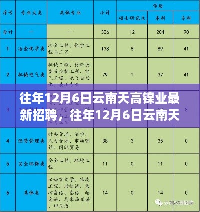 往年12月6日云南天高镍业招聘盛典，深度评测与介绍