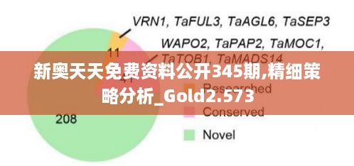 新奥天天免费资料公开345期,精细策略分析_Gold2.573