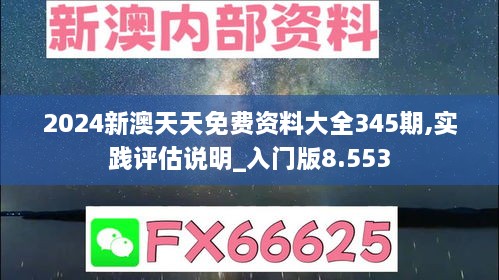 2024新澳天天免费资料大全345期,实践评估说明_入门版8.553