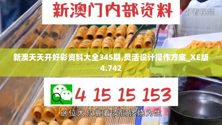 新澳天天开好彩资料大全345期,灵活设计操作方案_XE版4.742