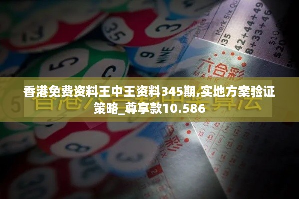 香港免费资料王中王资料345期,实地方案验证策略_尊享款10.586