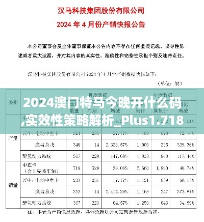 2024澳门特马今晚开什么码,实效性策略解析_Plus1.718