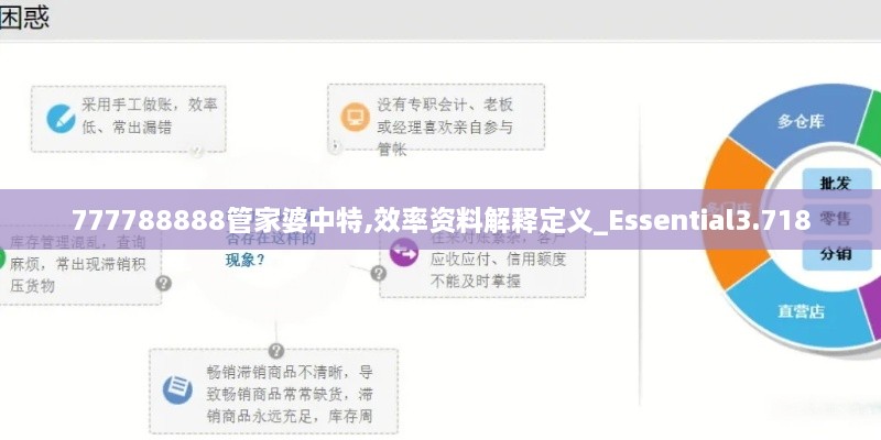 777788888管家婆中特,效率资料解释定义_Essential3.718