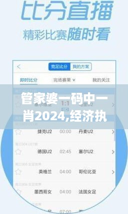 管家婆一码中一肖2024,经济执行方案分析_标配版6.835