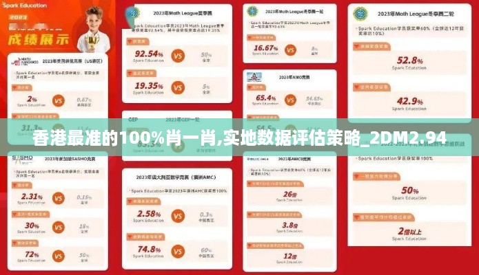 香港最准的100%肖一肖,实地数据评估策略_2DM2.940