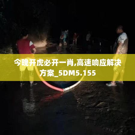 今晚开虎必开一肖,高速响应解决方案_5DM5.155