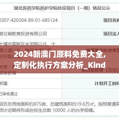 2024新澳门原料免费大全,定制化执行方案分析_Kindle4.875