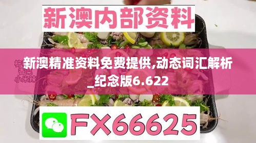 新澳精准资料免费提供,动态词汇解析_纪念版6.622