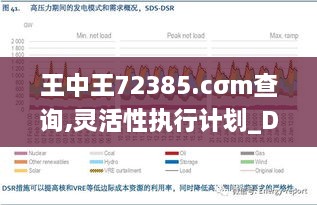 王中王72385.cσm查询,灵活性执行计划_DP8.443