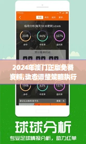 2024年澳门正版免费资料,动态调整策略执行_XR9.858