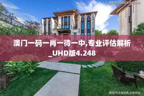 澳门一码一肖一待一中,专业评估解析_UHD版4.248