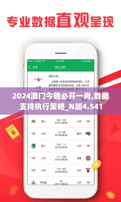 2024澳门今晚必开一肖,数据支持执行策略_N版4.541