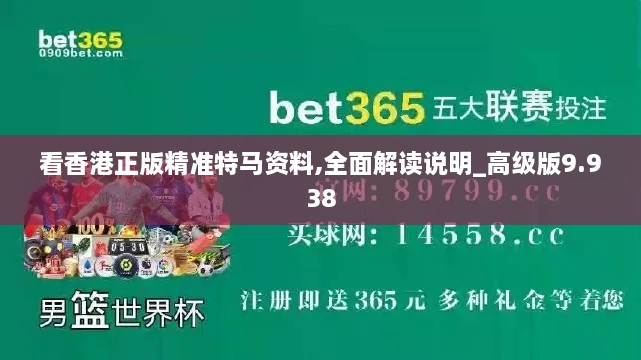 看香港正版精准特马资料,全面解读说明_高级版9.938