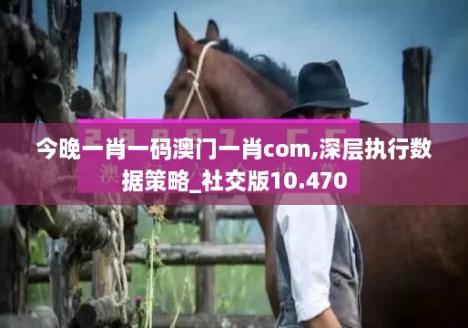 今晚一肖一码澳门一肖com,深层执行数据策略_社交版10.470