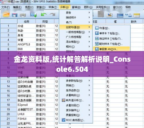 金龙资料版,统计解答解析说明_Console6.504