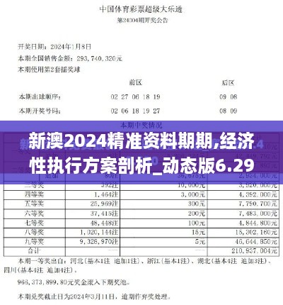 新澳2024精准资料期期,经济性执行方案剖析_动态版6.290