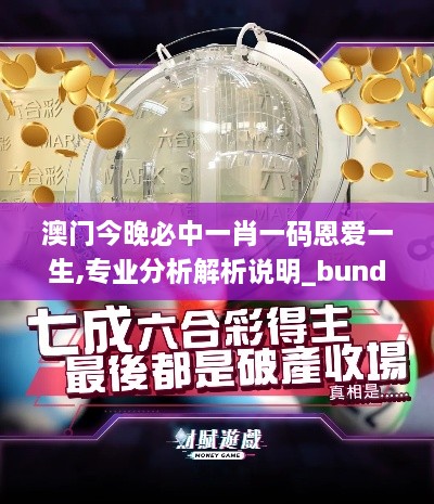 澳门今晚必中一肖一码恩爱一生,专业分析解析说明_bundle7.535