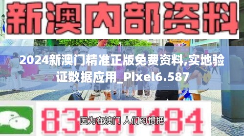 2024新澳门精准正版免费资料,实地验证数据应用_Pixel6.587