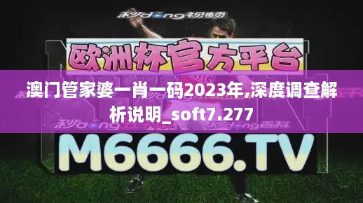 澳门管家婆一肖一码2023年,深度调查解析说明_soft7.277