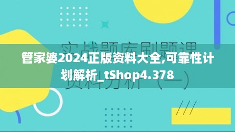 管家婆2024正版资料大全,可靠性计划解析_tShop4.378