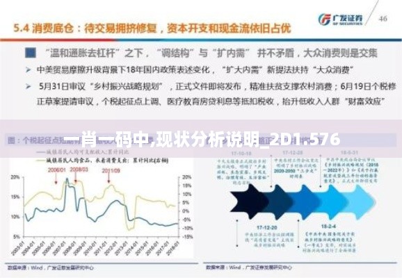 一肖一码中,现状分析说明_2D1.576