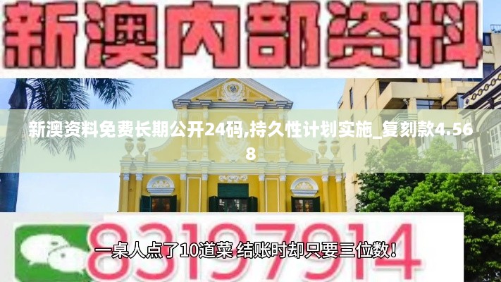 新澳资料免费长期公开24码,持久性计划实施_复刻款4.568