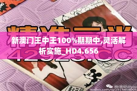 新澳门王中王100%期期中,灵活解析实施_HD4.656