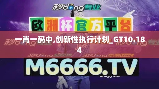 一肖一码中,创新性执行计划_GT10.184