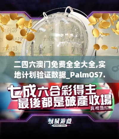 二四六澳门免费全全大全,实地计划验证数据_PalmOS7.535