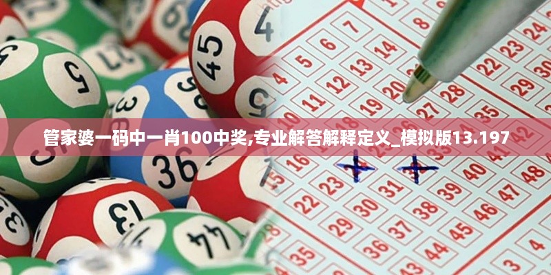 管家婆一码中一肖100中奖,专业解答解释定义_模拟版13.197