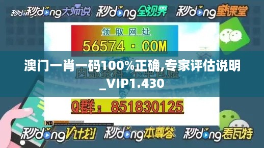 澳门一肖一码100%正确,专家评估说明_VIP1.430