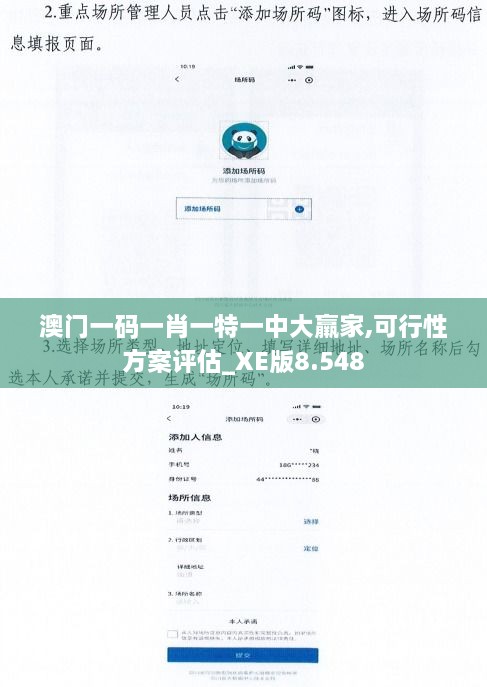 澳门一码一肖一特一中大羸家,可行性方案评估_XE版8.548