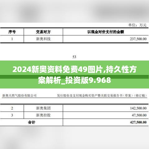 2024新奥资料免费49图片,持久性方案解析_投资版9.968