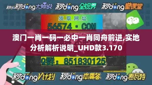 澳门一肖一码一必中一肖同舟前进,实地分析解析说明_UHD款3.170