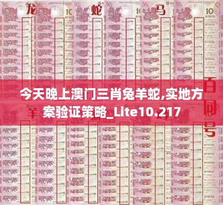 今天晚上澳门三肖兔羊蛇,实地方案验证策略_Lite10.217