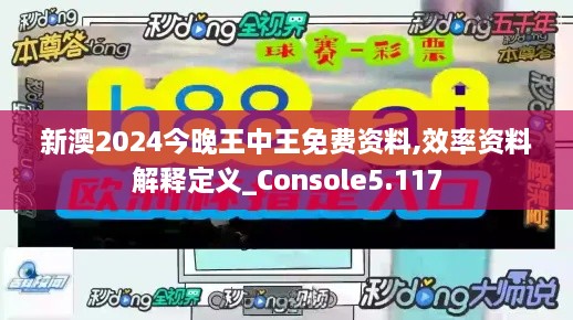 新澳2024今晚王中王免费资料,效率资料解释定义_Console5.117