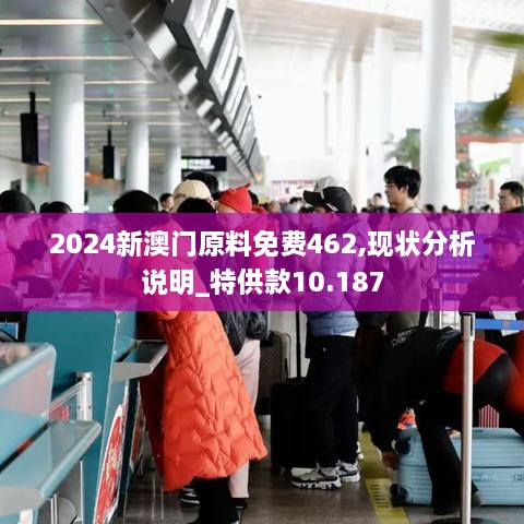 2024新澳门原料免费462,现状分析说明_特供款10.187