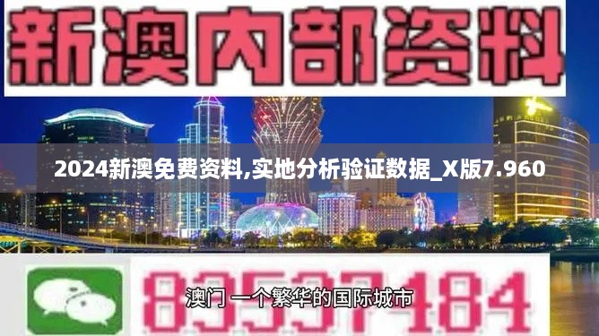 2024新澳免费资料,实地分析验证数据_X版7.960