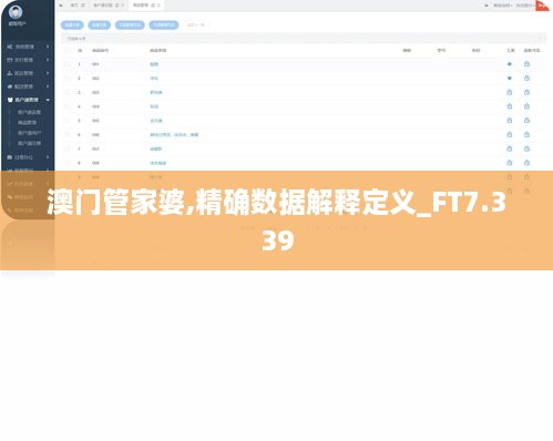 澳门管家婆,精确数据解释定义_FT7.339