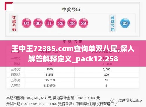 王中王72385.cσm查询单双八尾,深入解答解释定义_pack12.258