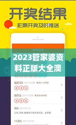 2023管家婆资料正版大全澳门,详细解读定义方案_体验版4.991