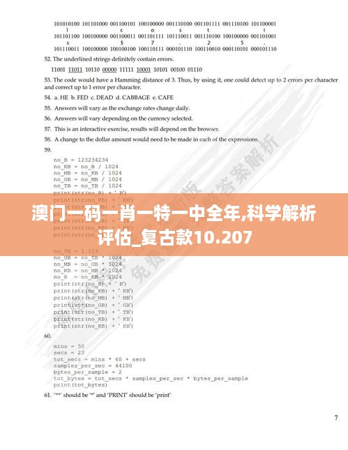 澳门一码一肖一特一中全年,科学解析评估_复古款10.207