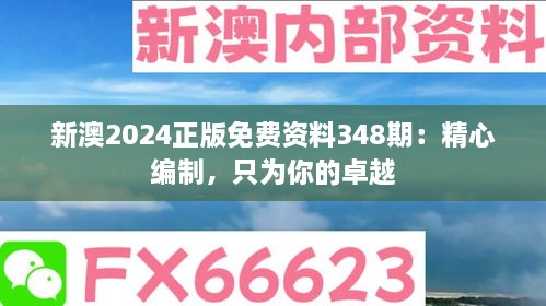 新澳2024正版免费资料348期：精心编制，只为你的卓越