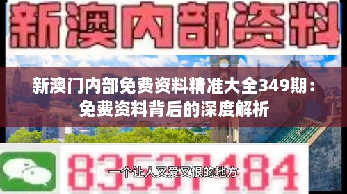 新澳门内部免费资料精准大全349期：免费资料背后的深度解析