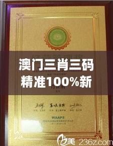 澳门三肖三码精准100%新华字典349期：东方智慧与西方技巧的交汇